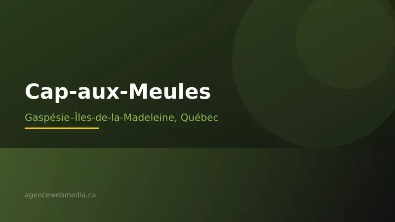 Vue de Cap-aux-Meules, Gaspésie–Îles-de-la-Madeleine — Conception de site web à Cap-aux-Meules par Agence Web MédIA