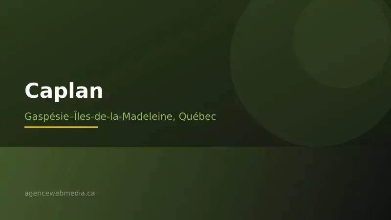 Vue de Caplan, Gaspésie–Îles-de-la-Madeleine — Conception de site web à Caplan par Agence Web MédIA