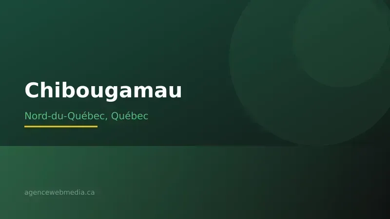 Vue de Chibougamau, Nord-du-Québec — Conception de site web à Chibougamau par Agence Web MédIA