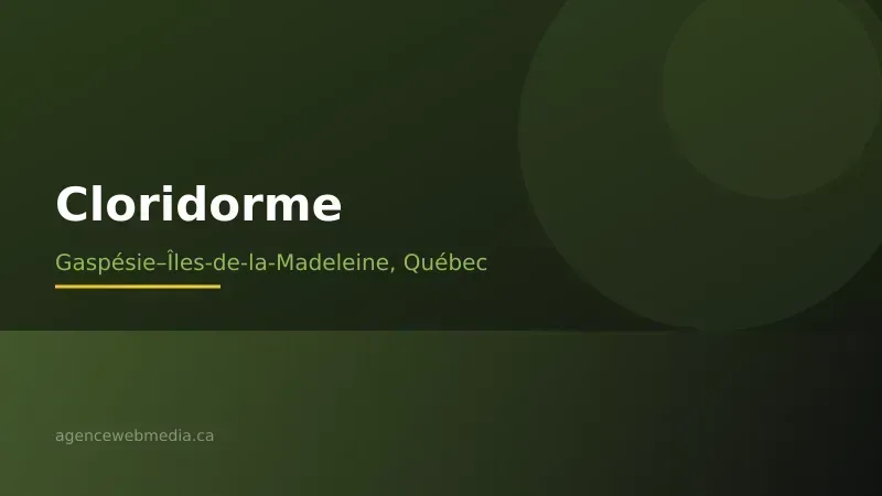 Vue de Cloridorme, Gaspésie–Îles-de-la-Madeleine — Conception de site web à Cloridorme par Agence Web MédIA