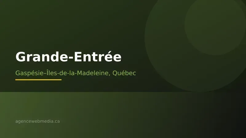 Vue de Grande-Entrée, Gaspésie–Îles-de-la-Madeleine — Conception de site web à Grande-Entrée par Agence Web MédIA