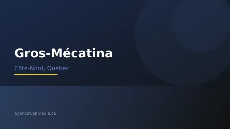 Vue de Gros-Mécatina, Côte-Nord — Conception de site web à Gros-Mécatina par Agence Web MédIA
