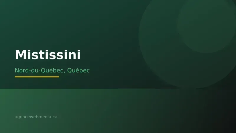 Vue de Mistissini, Nord-du-Québec — Conception de site web à Mistissini par Agence Web MédIA