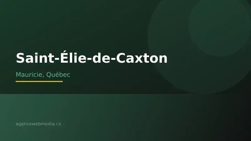 Vue de Saint-Élie-de-Caxton, Mauricie — Conception de site web à Saint-Élie-de-Caxton par Agence Web MédIA