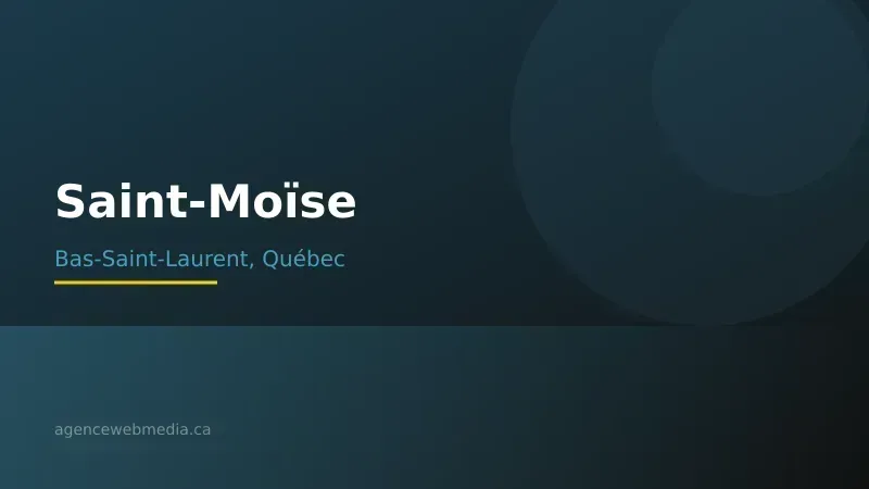 Vue de Saint-Moïse, Bas-Saint-Laurent — Conception de site web à Saint-Moïse par Agence Web MédIA