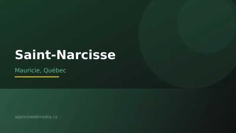 Vue de Saint-Narcisse, Mauricie — Conception de site web à Saint-Narcisse par Agence Web MédIA