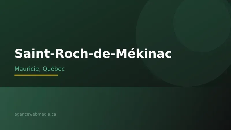 Vue de Saint-Roch-de-Mékinac, Mauricie — Conception de site web à Saint-Roch-de-Mékinac par Agence Web MédIA