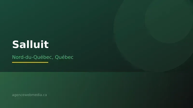 Vue de Salluit, Nord-du-Québec — Conception de site web à Salluit par Agence Web MédIA