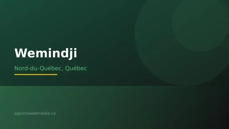 Vue de Wemindji, Nord-du-Québec — Conception de site web à Wemindji par Agence Web MédIA